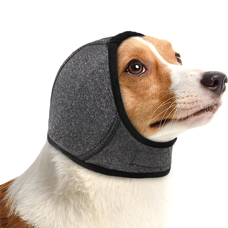Dog Ear Muffs Noise Canceling -test